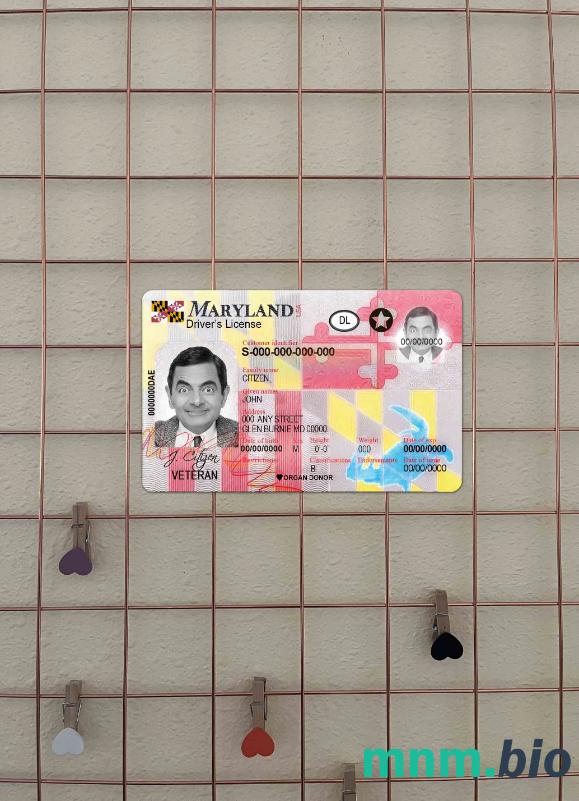 USA Maryland prawo jazdy 2016 - obecnie photolook